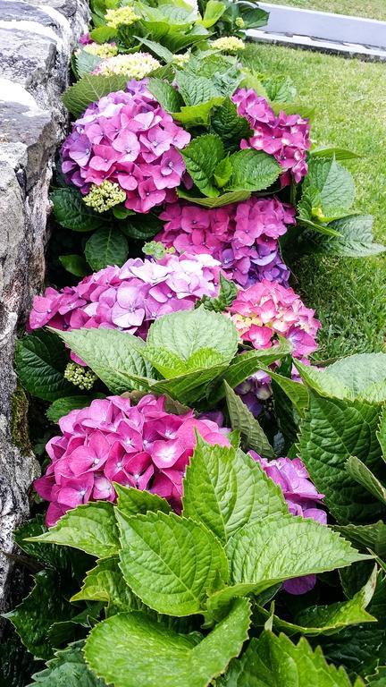 Hospetur 2 Daire Horta  Dış mekan fotoğraf